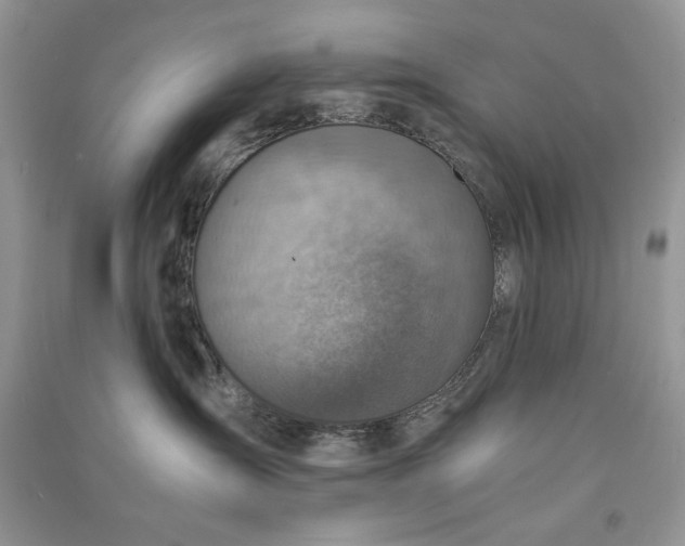 X0000090900431200708131356