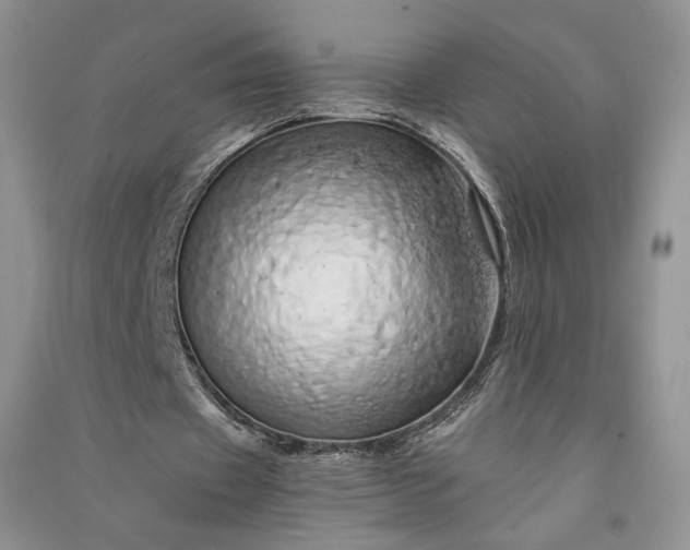 X0000090900433200708131355