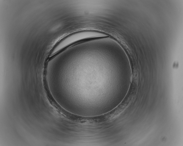 X0000090900434200708131355