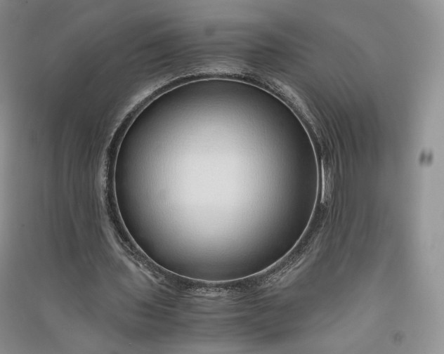 X0000090900435200708131355