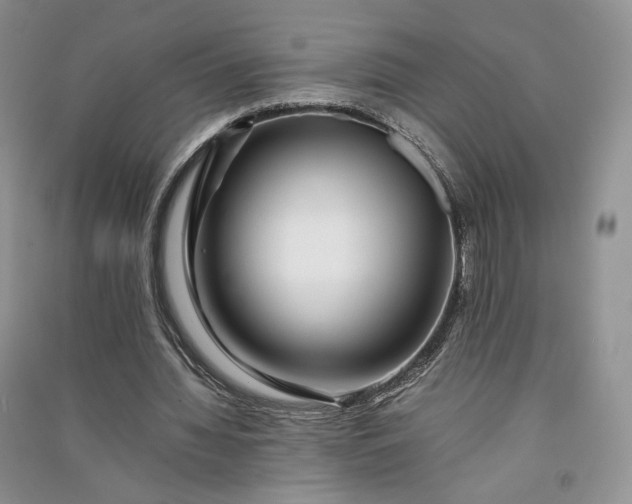 X0000090900436200708131355