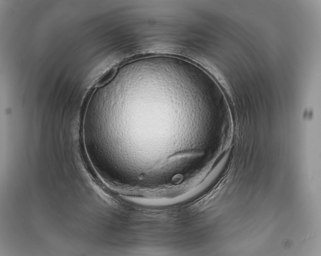 X0000090900437200708131355