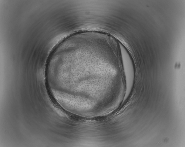 X0000090900438200708131355