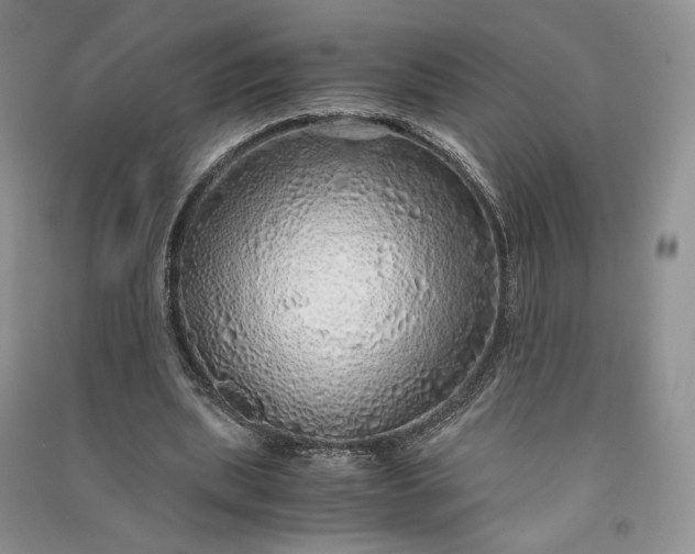 X0000090900439200708131355