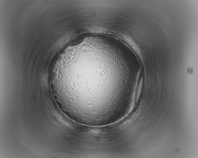 X0000090900441200708131355