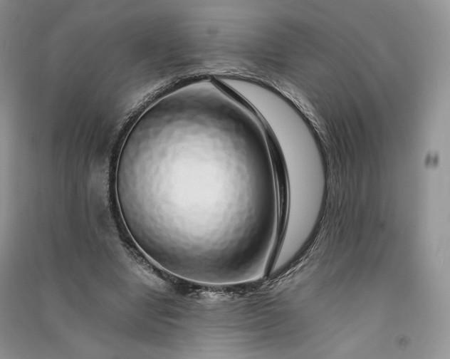 X0000090900442200708131355