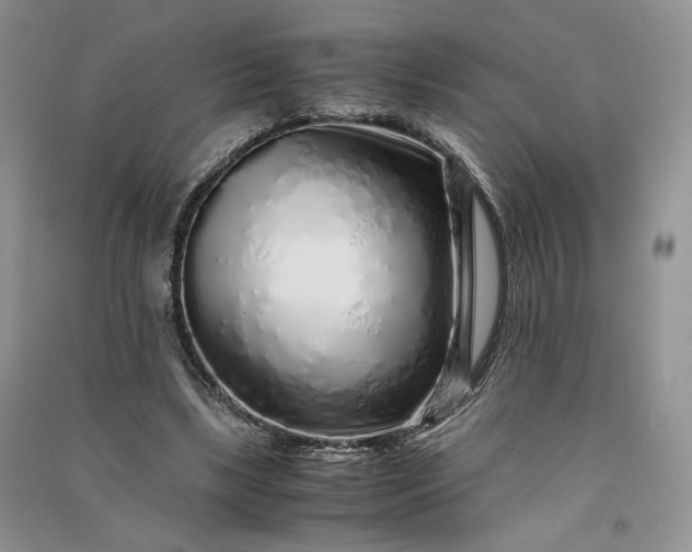 X0000090900443200708131355