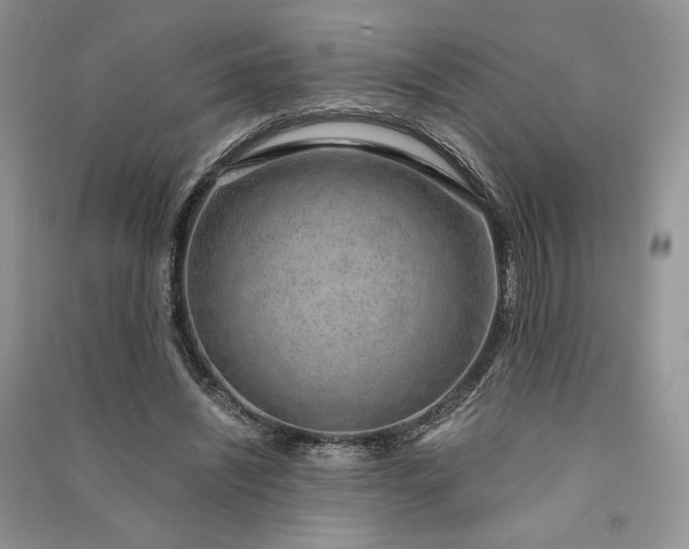 X0000090900444200708131355