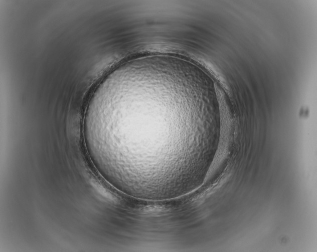 X0000090900445200708131355