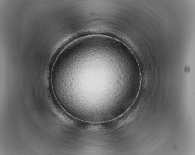 X0000090900446200708131355