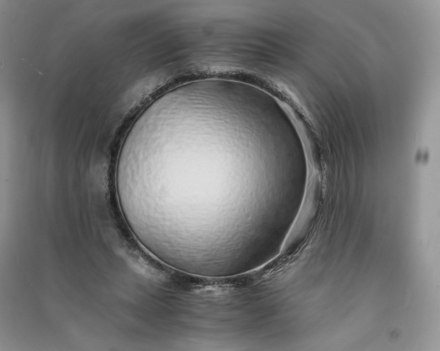 X0000090900447200708131355