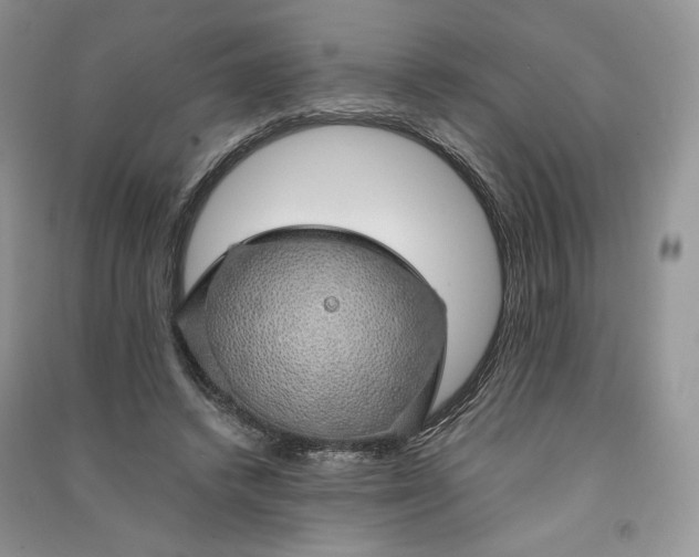 X0000090900448200708131355