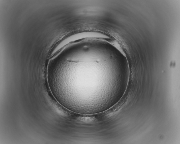 X0000090900449200708131355