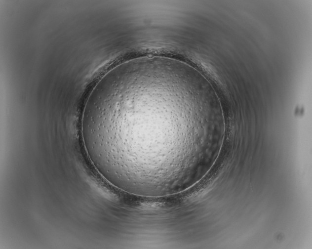 X0000090900450200708131355