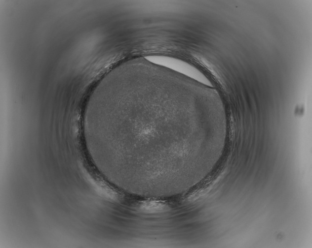 X0000090900451200708131355