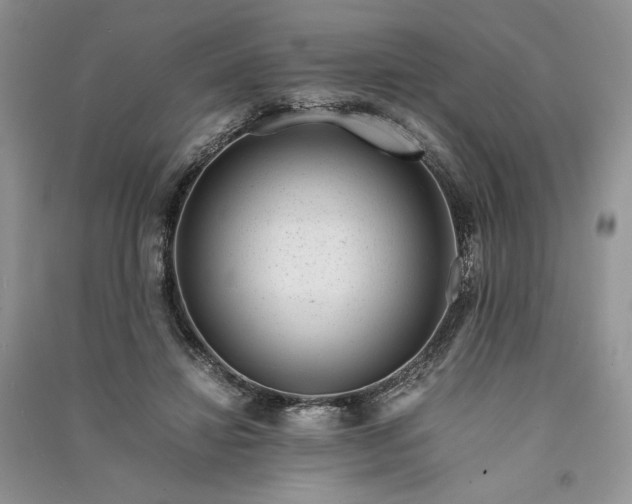 X0000090900452200708131355