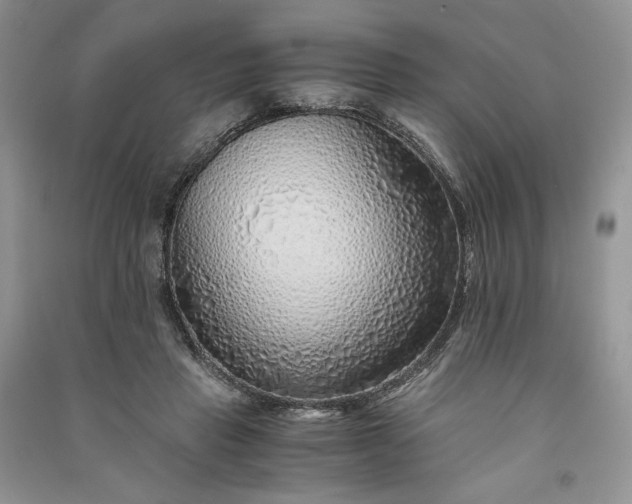 X0000090900453200708131355