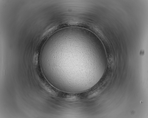 X0000090900454200708131355