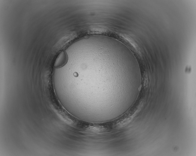 X0000090900455200708131356