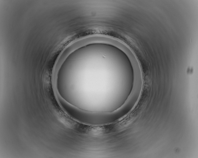 X0000090900456200708131356