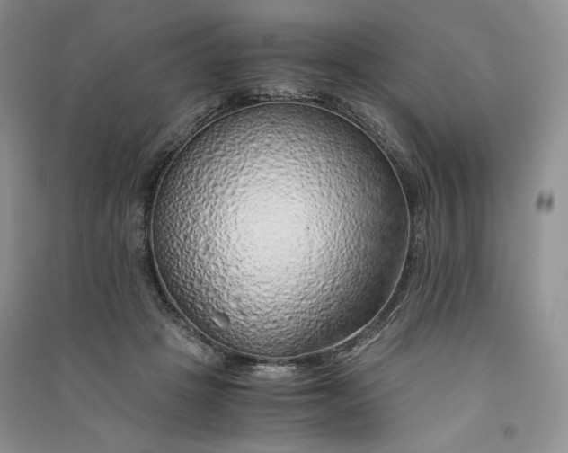 X0000090900457200708131356