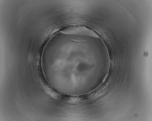 X0000090900458200708131356