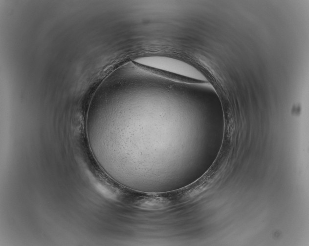 X0000090900459200708131356