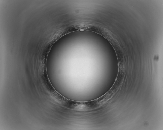 X0000090900460200708131356