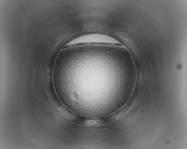 X0000090900461200708131356