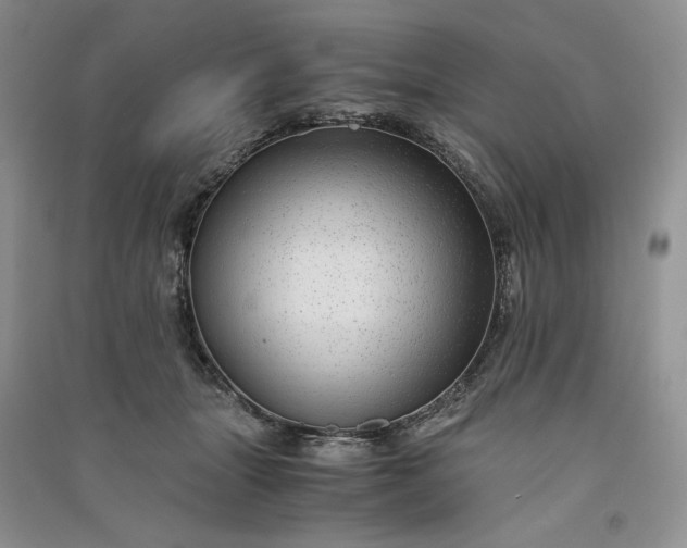 X0000090900463200708131356