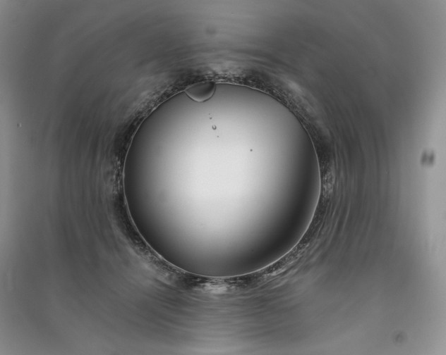 X0000090900464200708131356