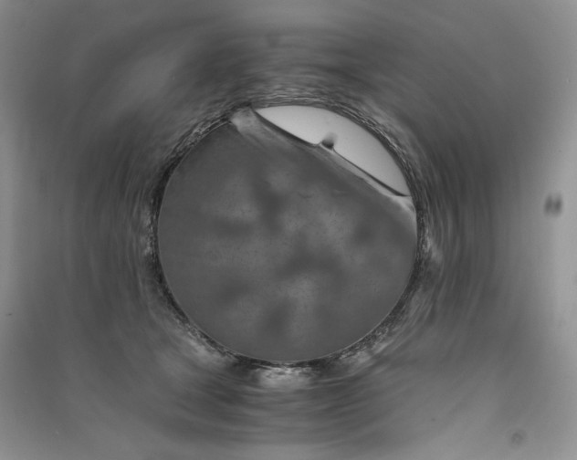 X0000090900465200708131356