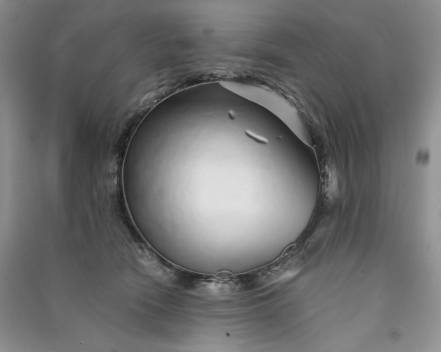 X0000090900466200708131356