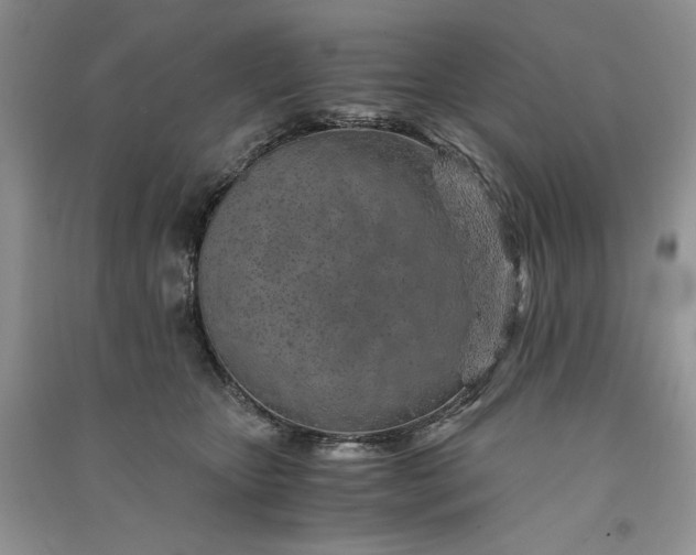 X0000090900467200708131356