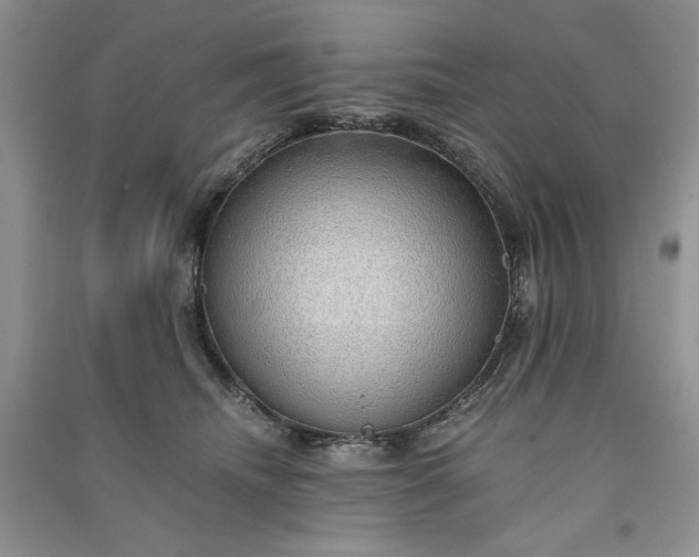 X0000090900468200708131356