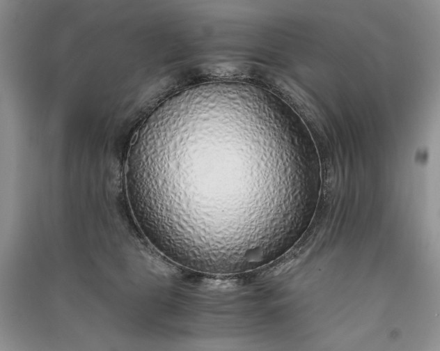 X0000090900469200708131356