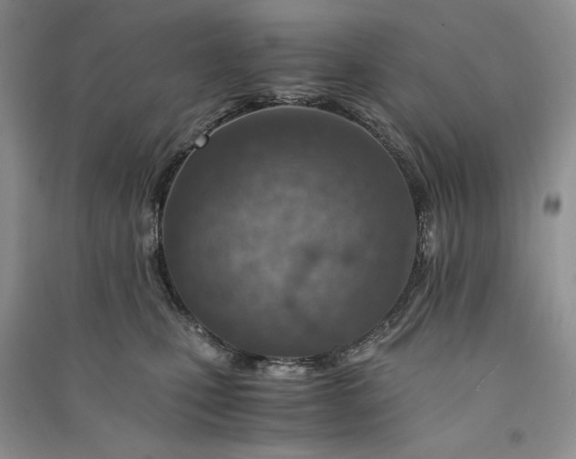 X0000090900471200708131356