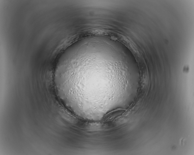 X0000090900473200708131356