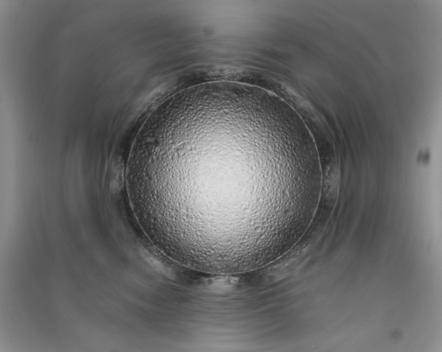 X0000090900474200708131356