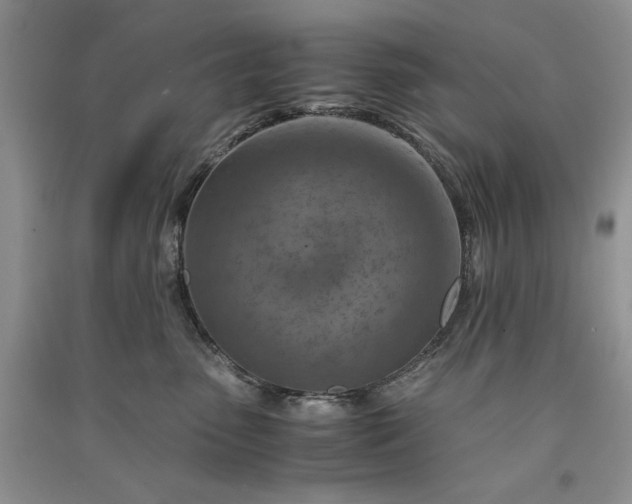 X0000090900475200708131356