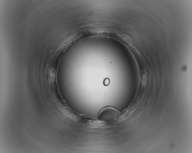 X0000090900476200708131356