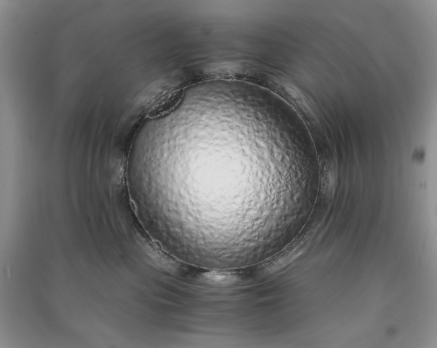 X0000090900477200708131356