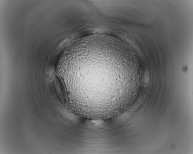 X0000090900478200708131356