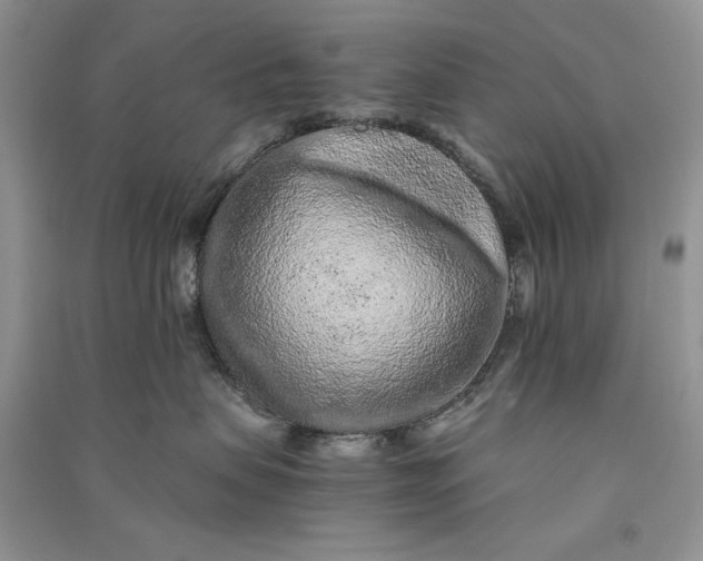 X0000090900479200708131356