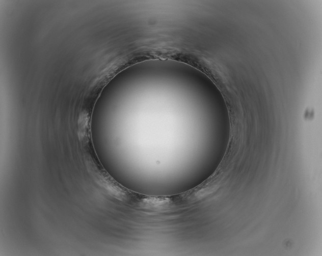 X0000090900480200708131356