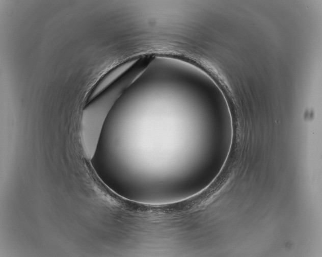 X0000090900481200708131355