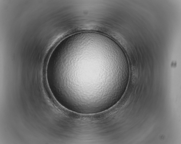 X0000090900482200708131355