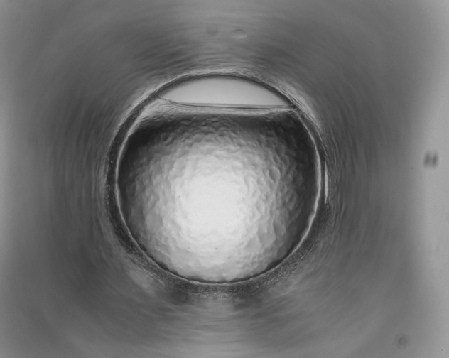 X0000090900483200708131355