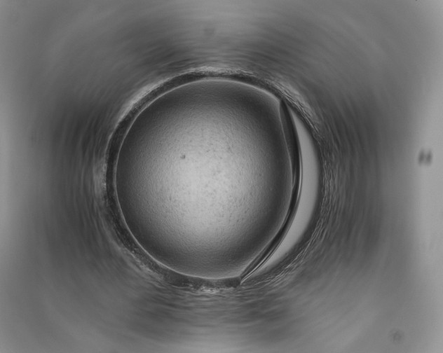 X0000090900484200708131355