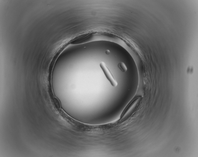 X0000090900485200708131355